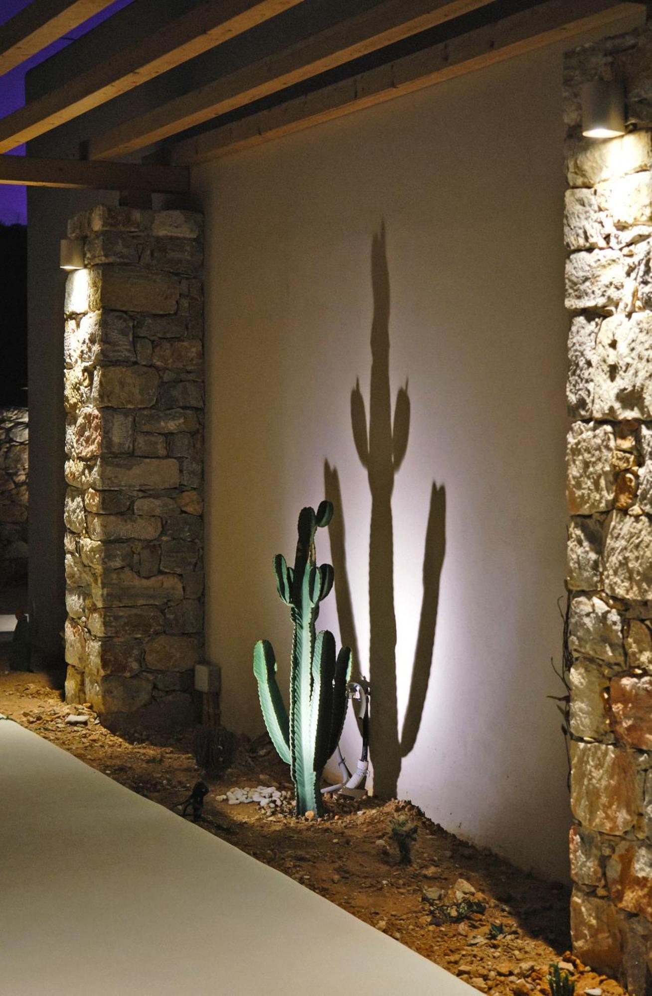 Agave Donousa Suites Exterior photo